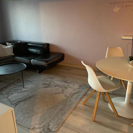 Superbe Appartement Avec Place De Parking Gratuit Strasbourg Exterior photo